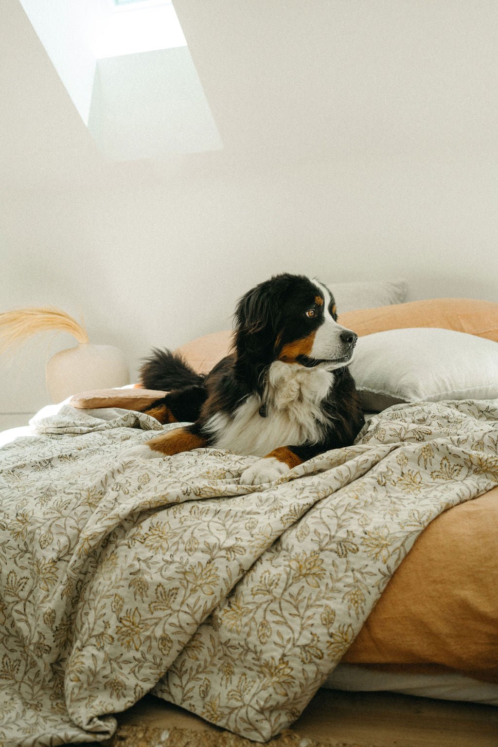 Animaux - Coussins et accessoires pour chiens et chats - Les Trouvailles de Justine