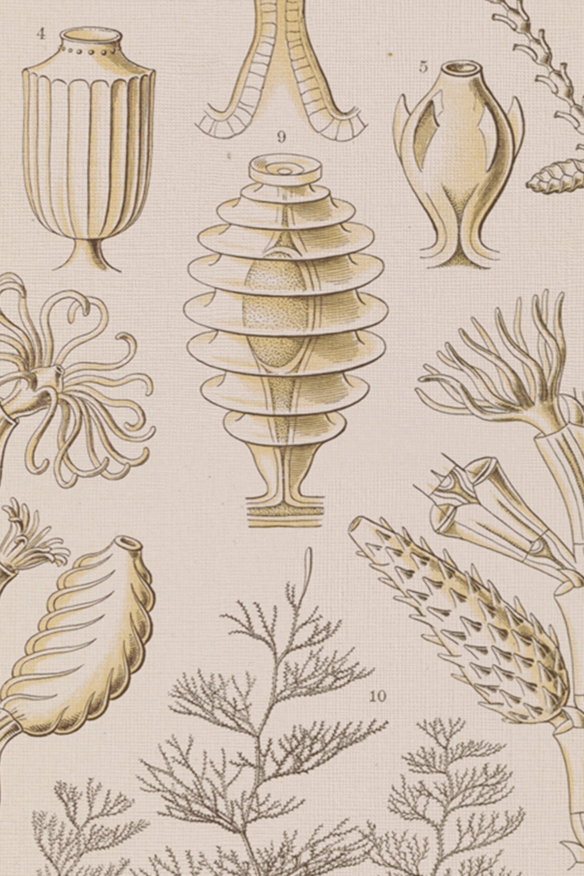 ESSENCE MARINE, CADRE VINTAGE OR