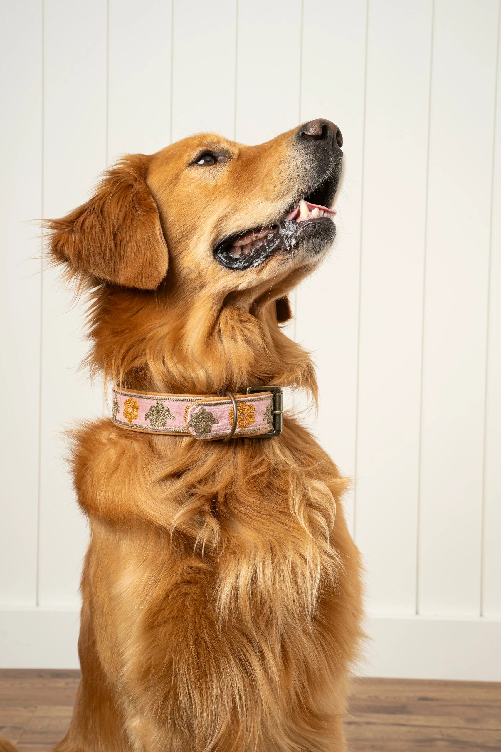 Collier pour chien brodé Buddy grand format en cuir et coton fait main en Inde, accessoire coloré et résistant Indaba. Livraison gratuite au Canada.