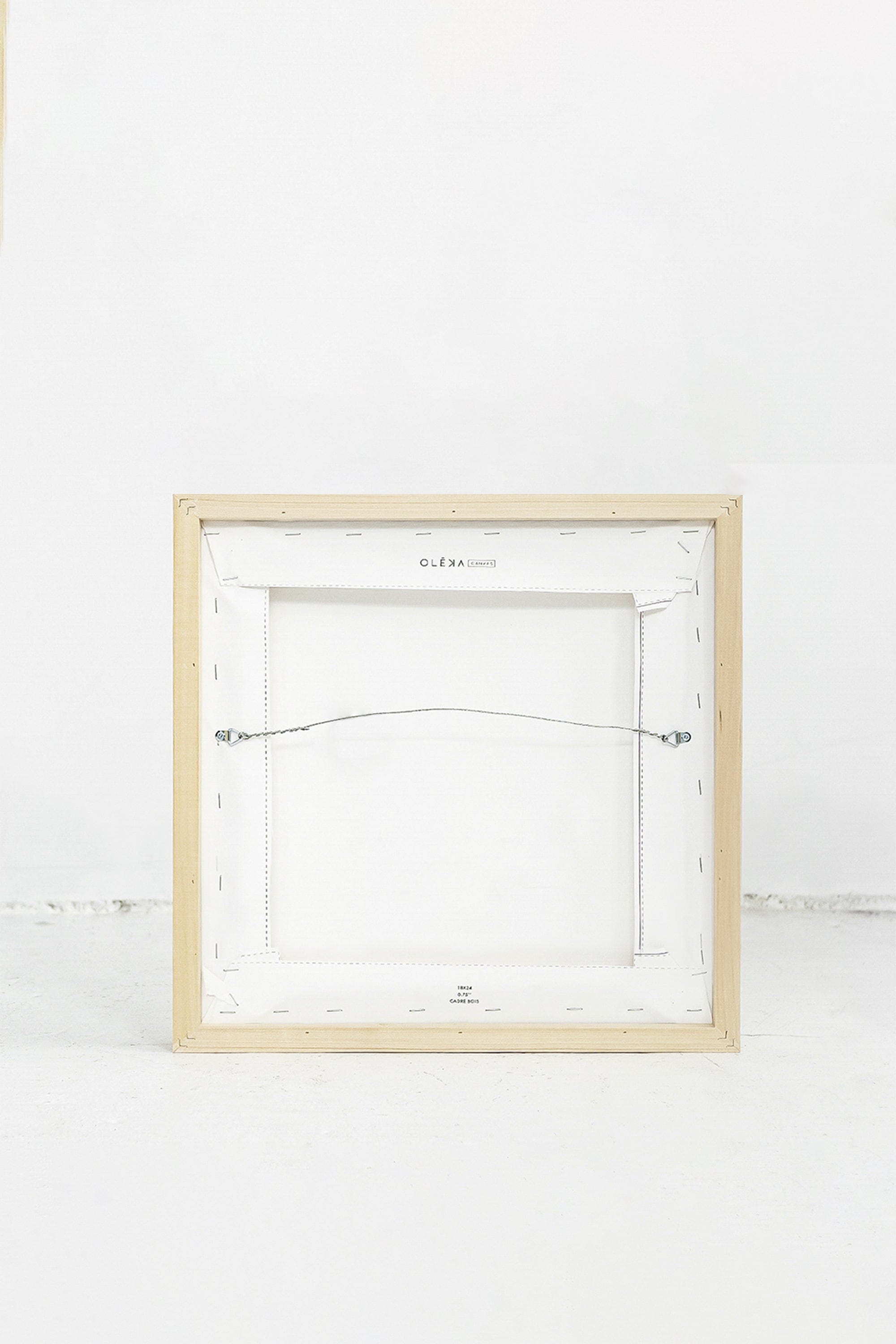 HAZES, Oeuvre sur toile étirée