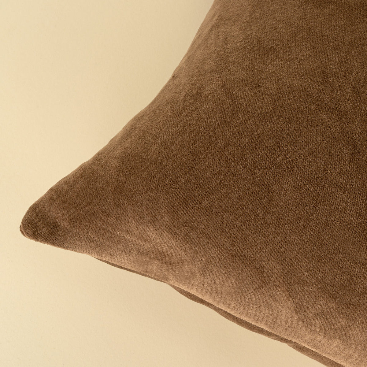 Coussin en velours Vera Luxe 16 x 24 po | Caramel | Coton