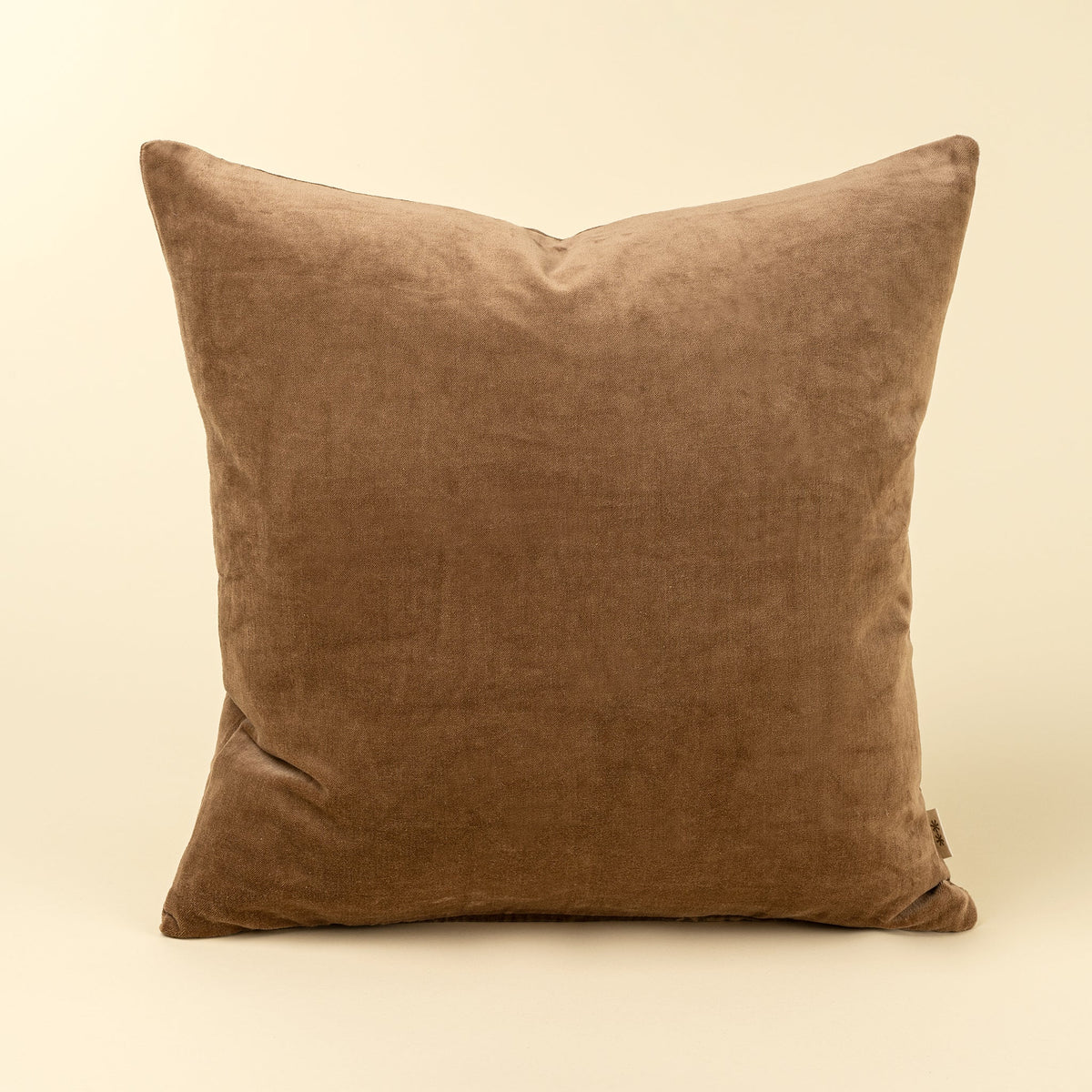 Coussin décoratif Vera Luxe | Velours de coton | Caramel | 20 × 20 po