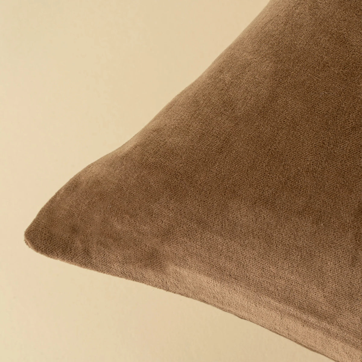 Coussin décoratif Vera Luxe | Velours de coton | Caramel | 20 × 20 po