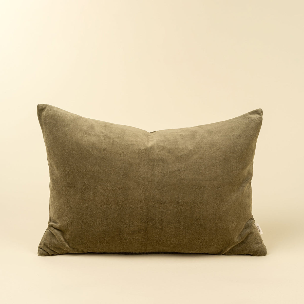Coussin décoratif Vera Luxe | Velours de coton | Olive | 16 × 24 po