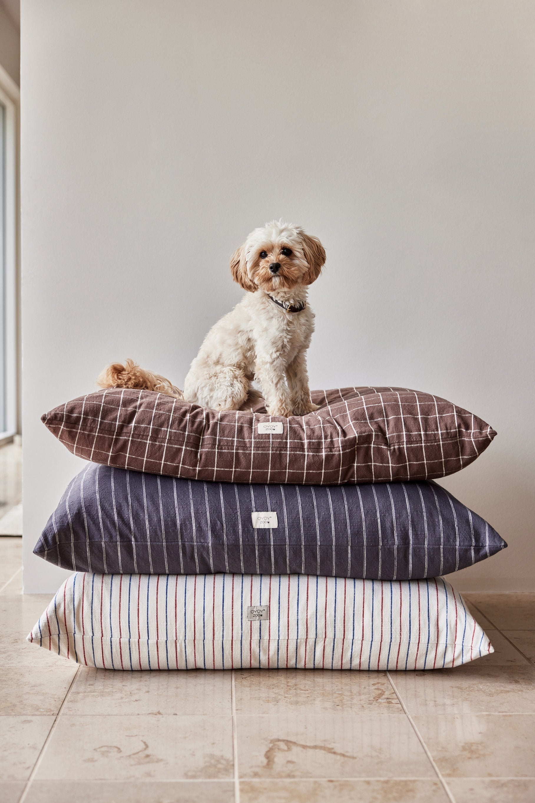 Coussin pour chien Kyoto | Petit format | Coton biologique