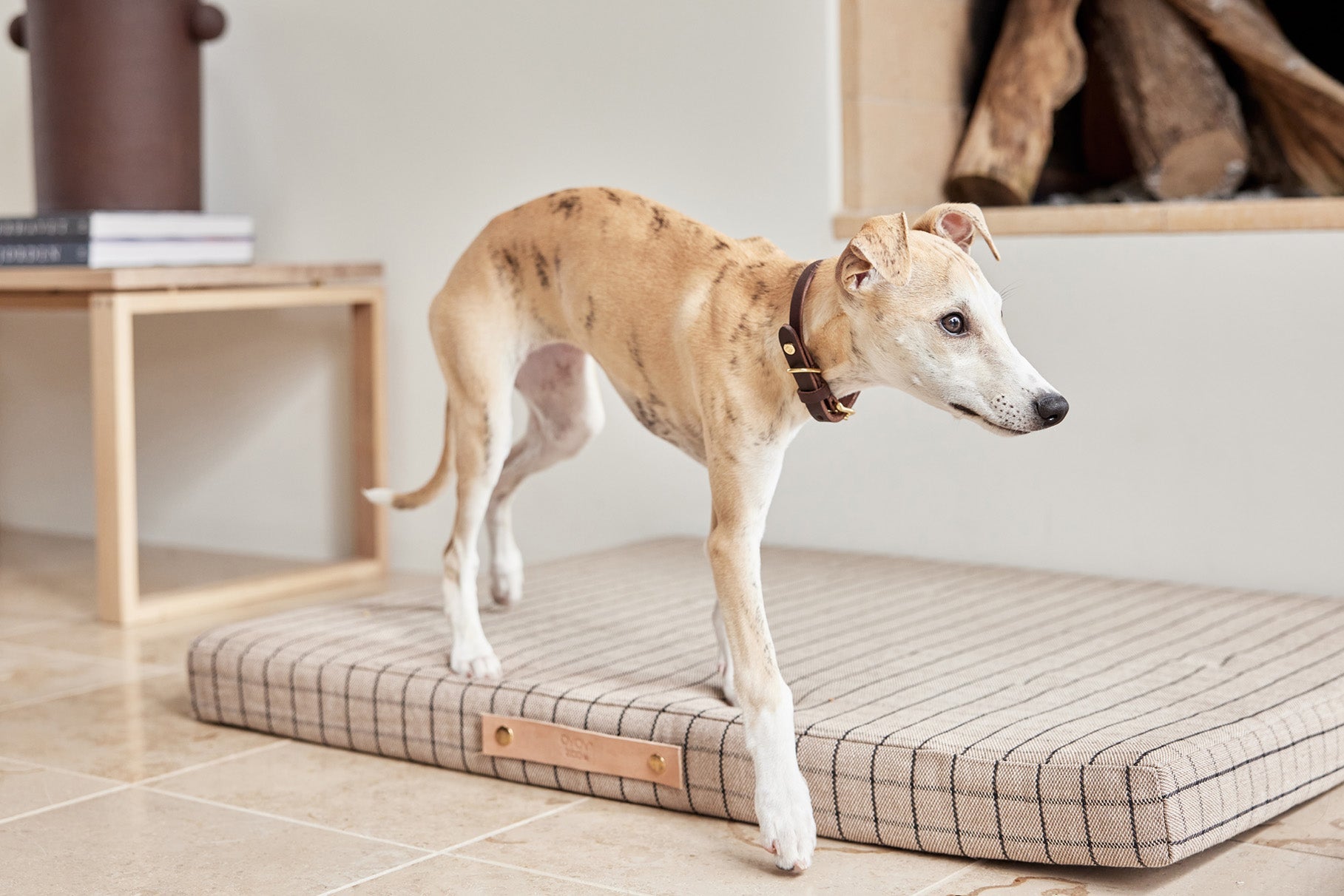 Coussin pour chien Milo Grid | Grand format | Coton biologique