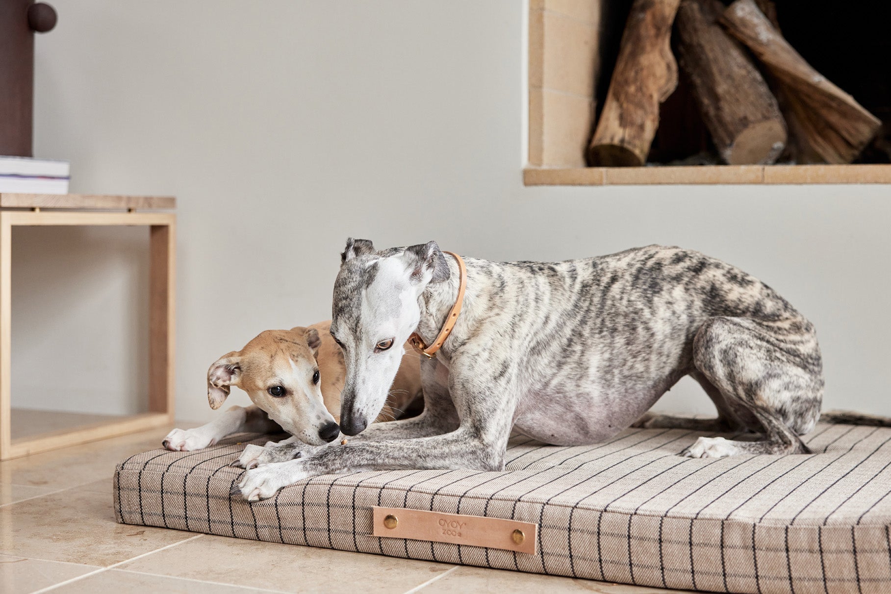 Coussin pour chien Milo Grid | Grand format | Coton biologique