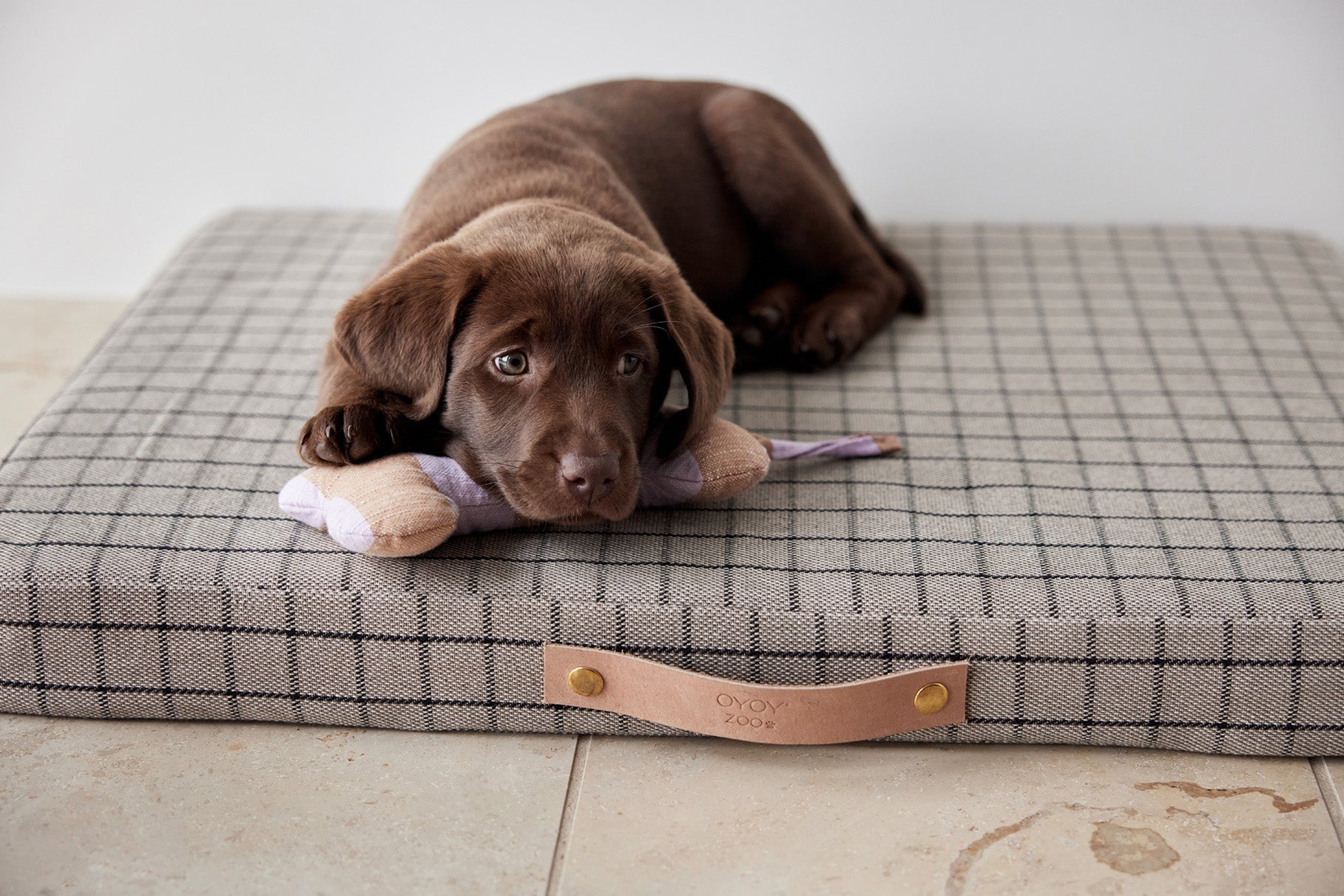 Coussin pour chien Milo Grid | Petit format | Coton biologique