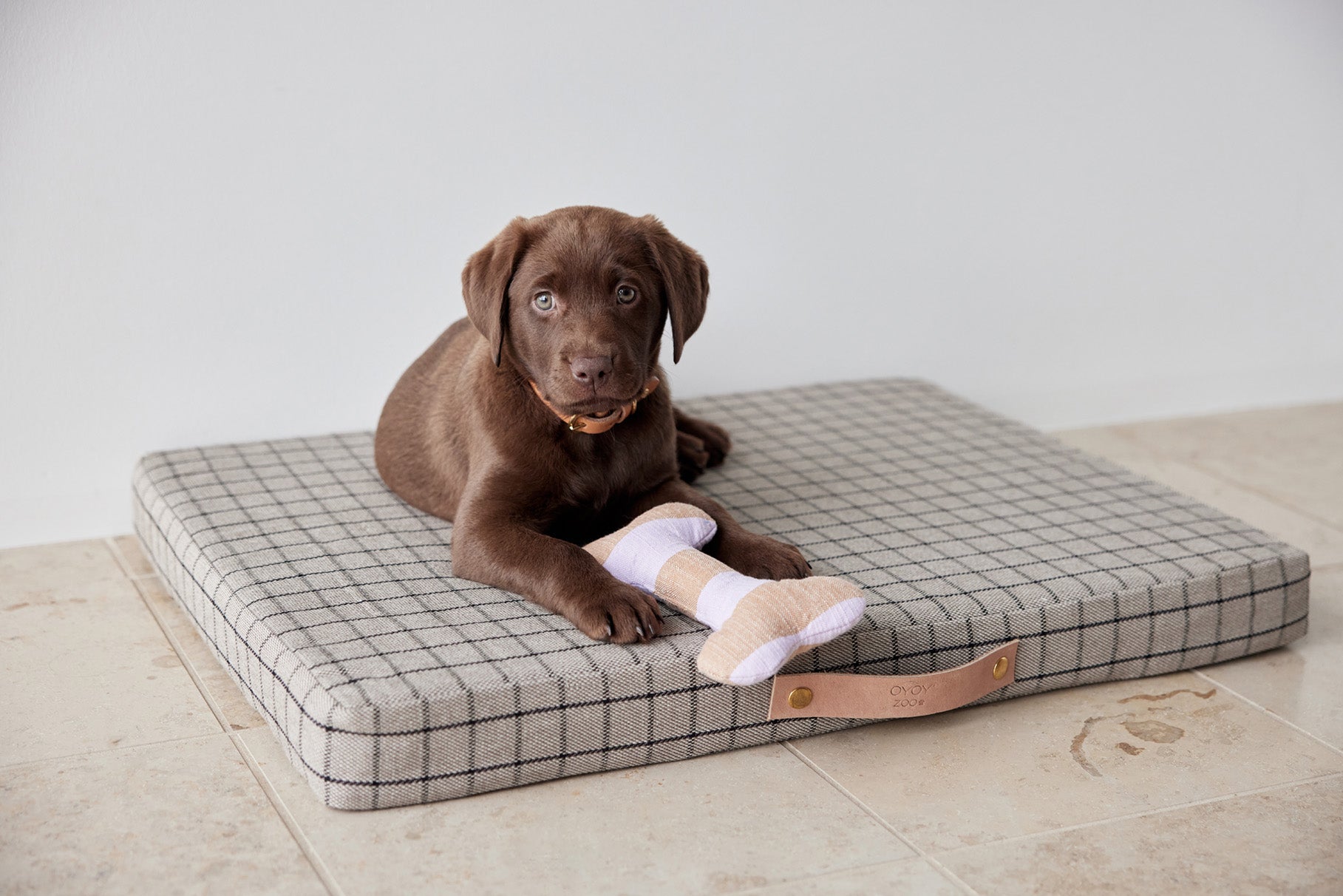 Coussin pour chien Milo Grid | Petit format | Coton biologique