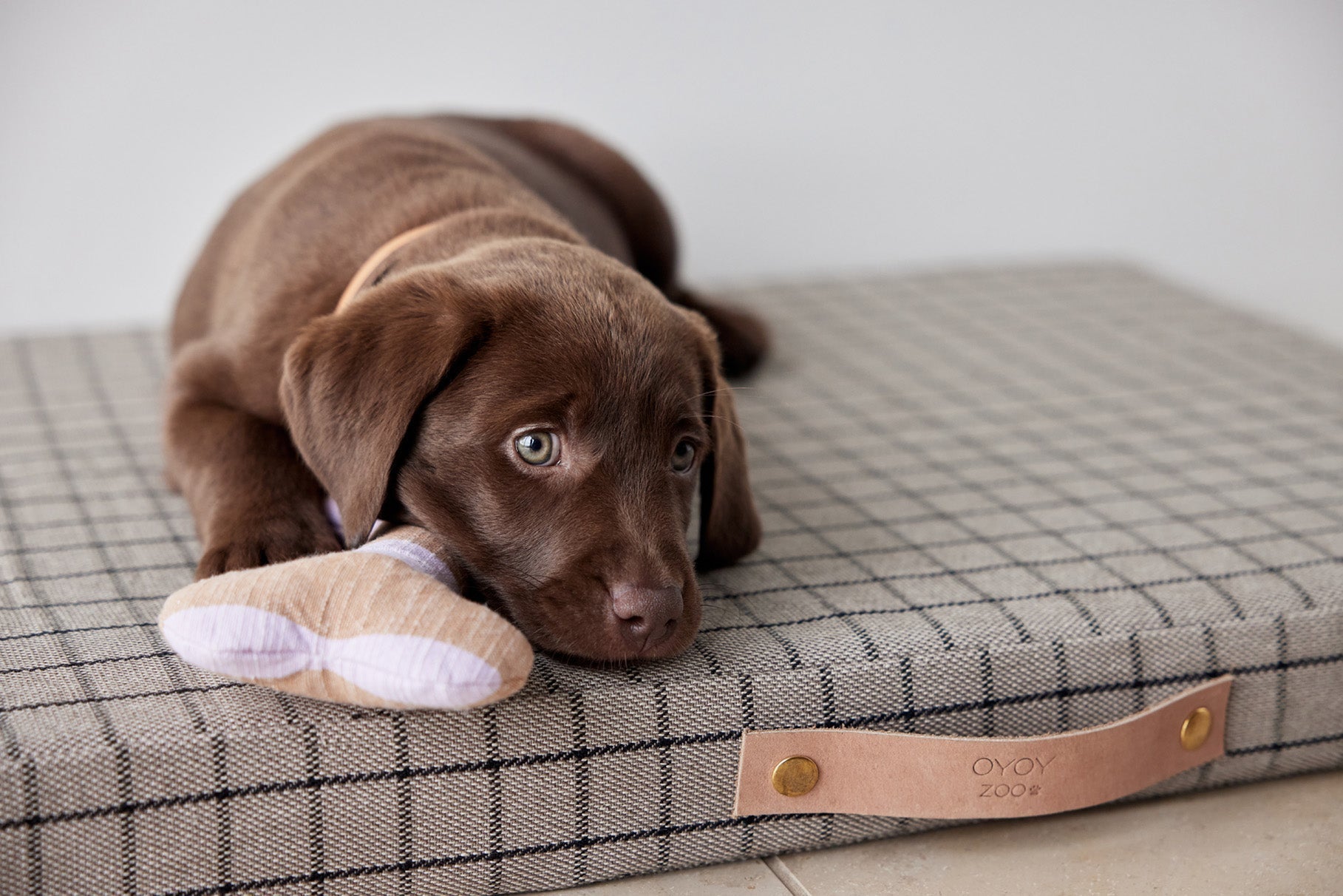 Coussin pour chien Milo Grid | Petit format | Coton biologique