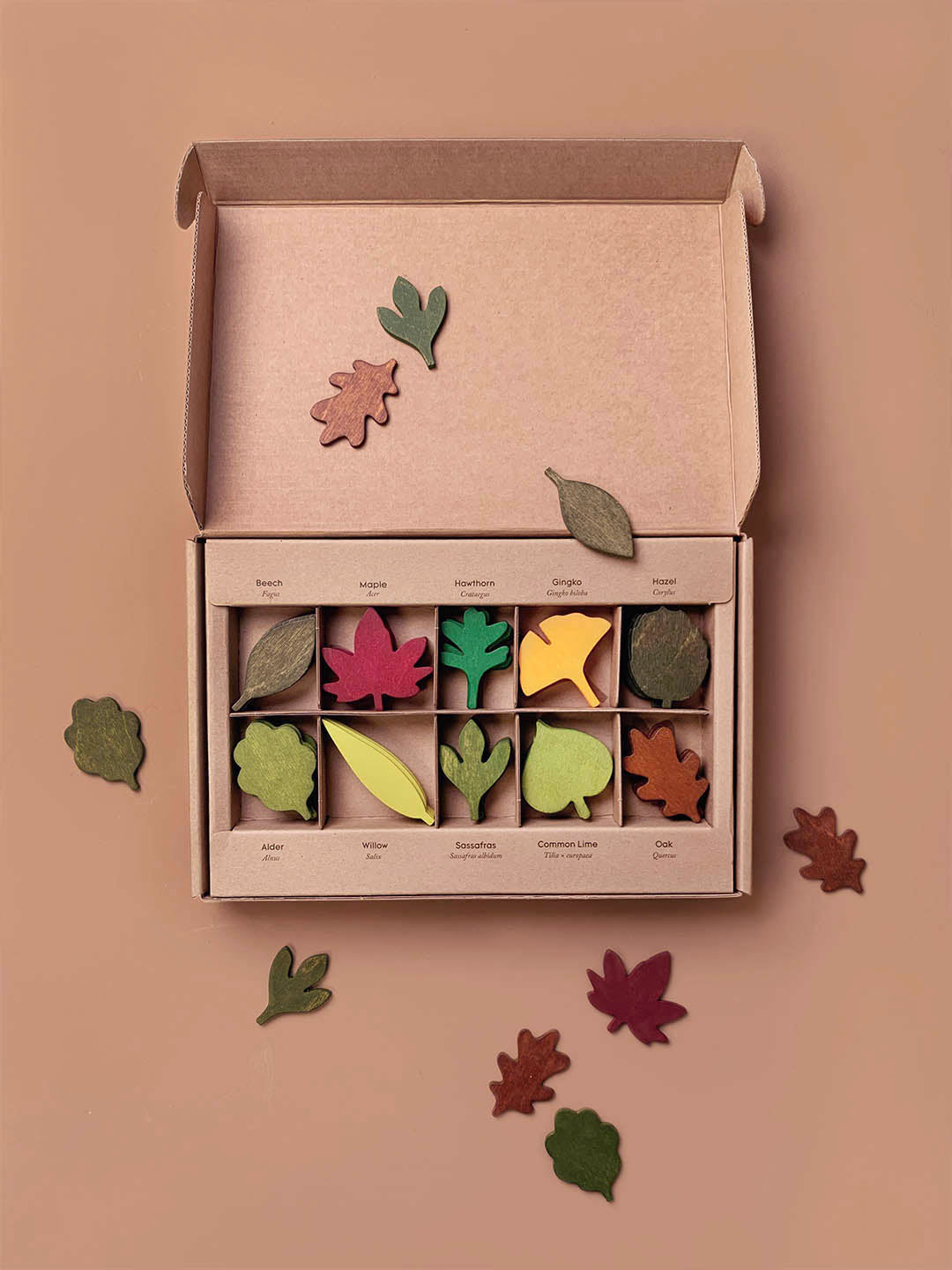 Feuilles des Bois