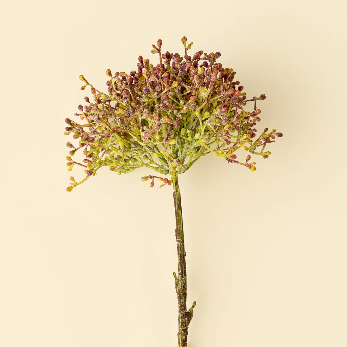 Tige de baies Viburnum | Rose et vert | Plastique recyclé