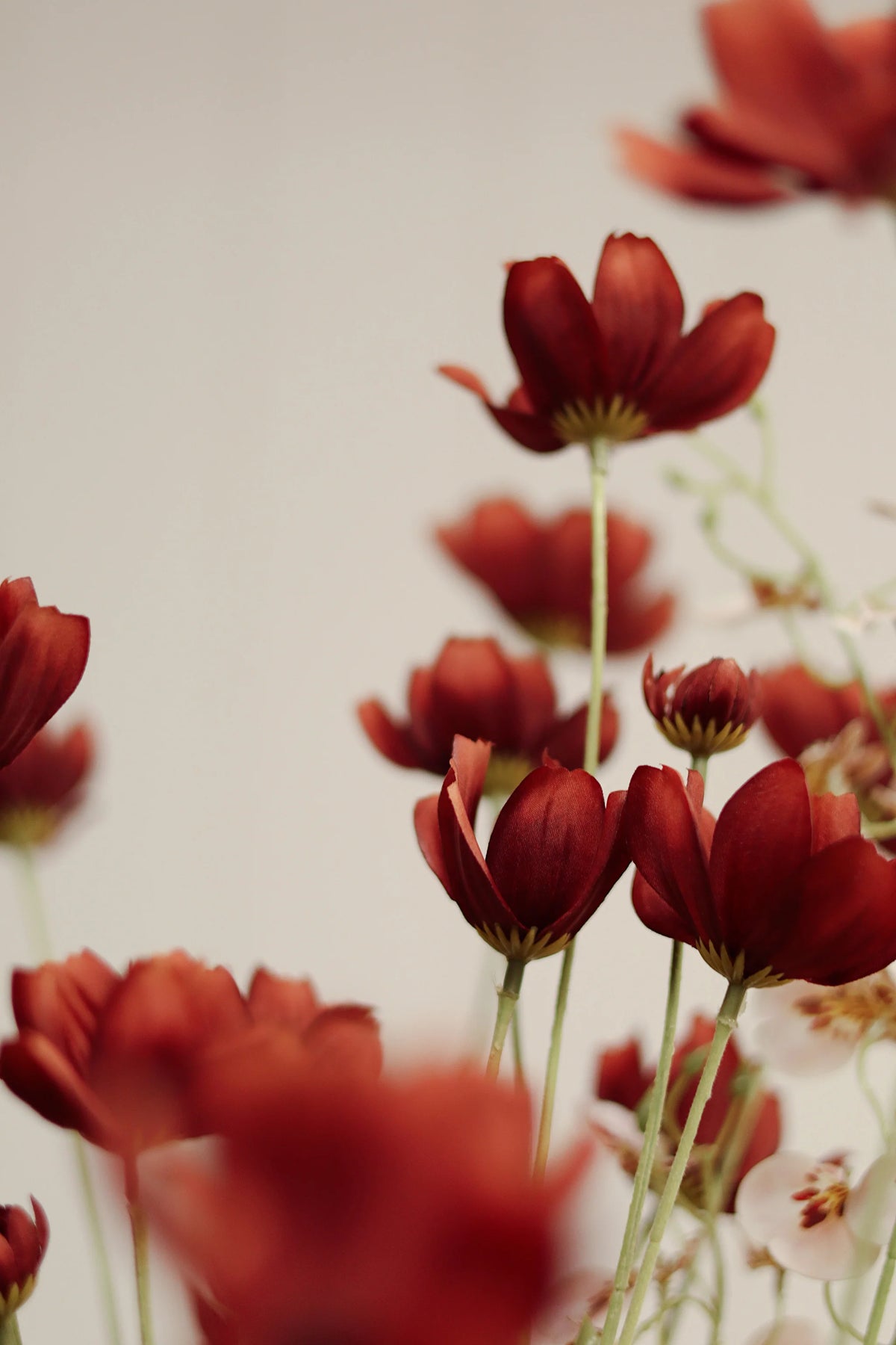 Tige de calliopsis artificielle rouge rouille