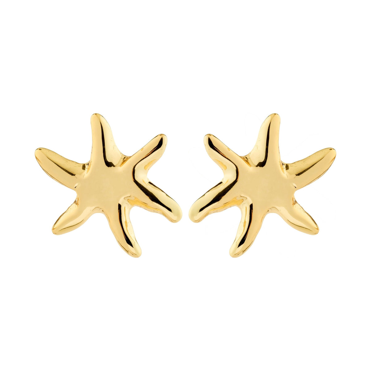 Boucles d’oreilles PRISM étoile de mer plaquées or