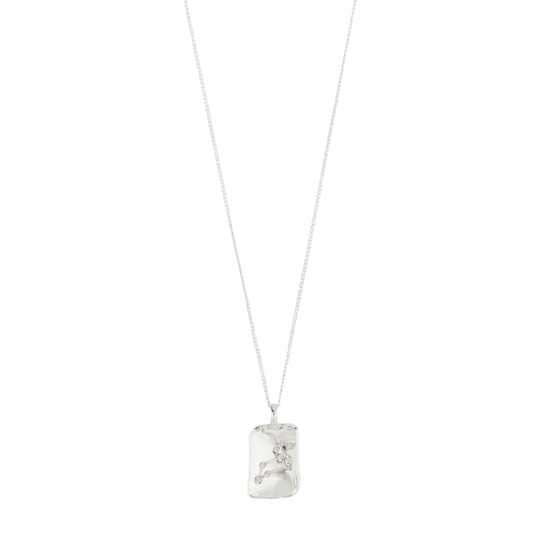 Collier pendentif Lion plaqué argent, breloque carrée gravée sur chaîne fine