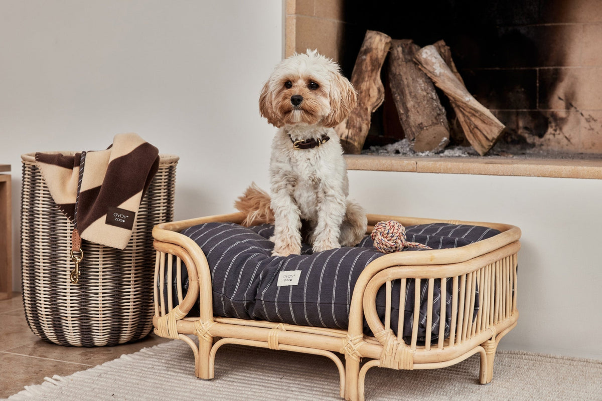 Coussin pour chien anthracite à rayures verticales sur fauteuil en osier
