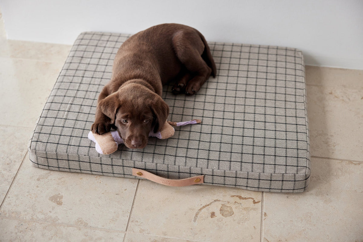 Coussin à carreaux rectangulaire, bordure et sangle en cuir marron sur le côté