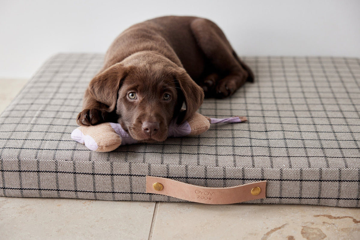 Petit coussin à carreaux beige et noir, chien marron sur la housse