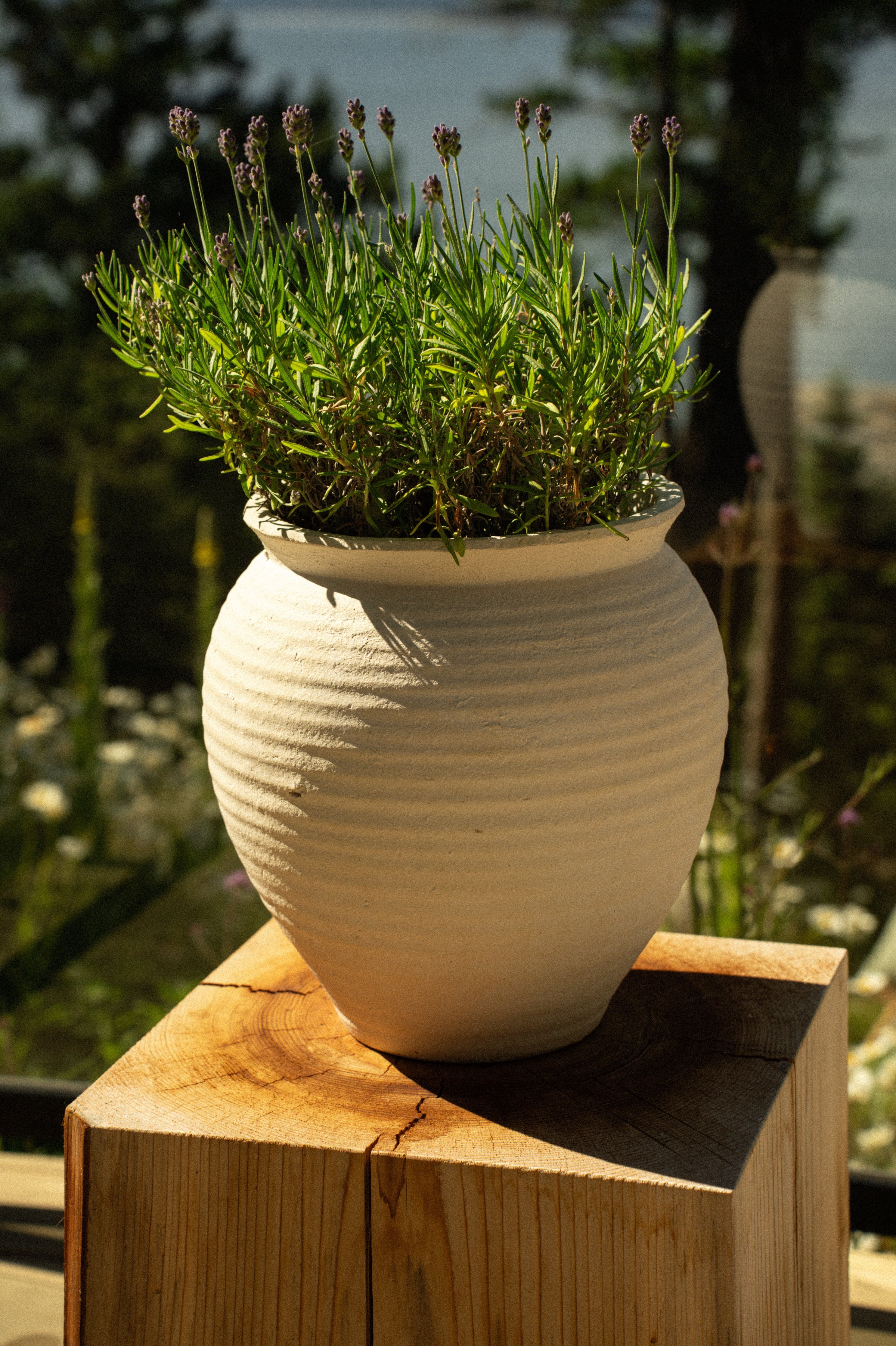 Vase de Sol Ankara | Terracotta Naturelle | Fait à la Main