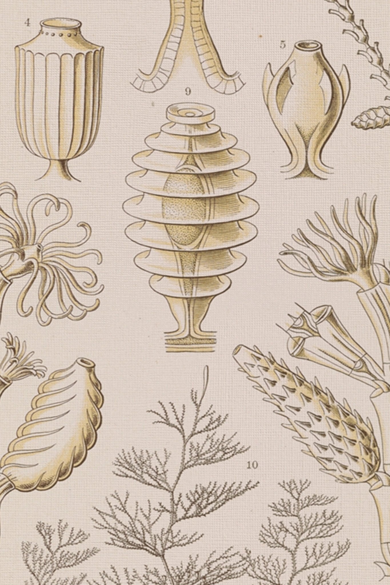 ESSENCE MARINE, CADRE VINTAGE OR - Les Trouvailles de JustineCadre VintageOleka Canvas9x12Or