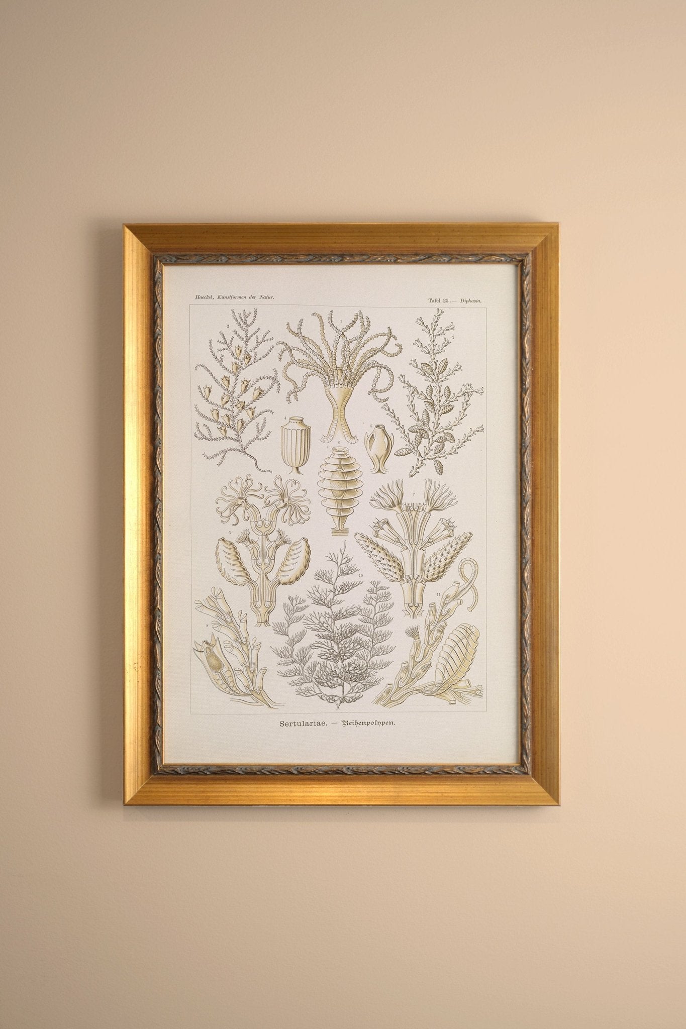 ESSENCE MARINE, CADRE VINTAGE OR - Les Trouvailles de JustineCadre VintageOleka Canvas9x12Or