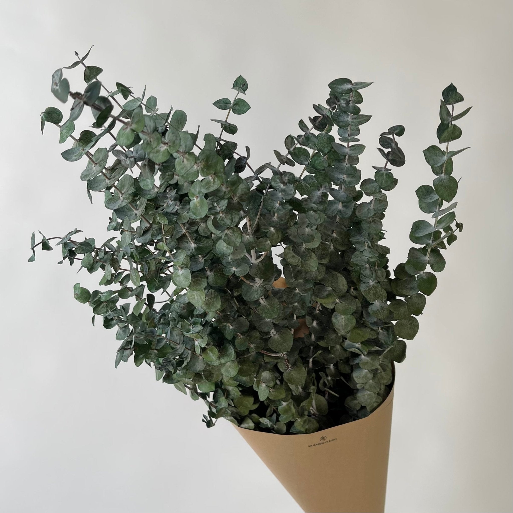 Eucalyptus | Fleurs préservées | Le Garde Fleurs - Les Trouvailles de JustineFleurs en vracLe garde - fleurs90 g