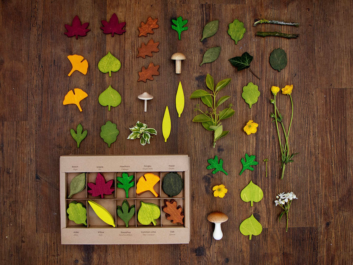 Jeu éducatif de feuilles en bois : pièces de différentes formes et couleurs, dans une boîte.