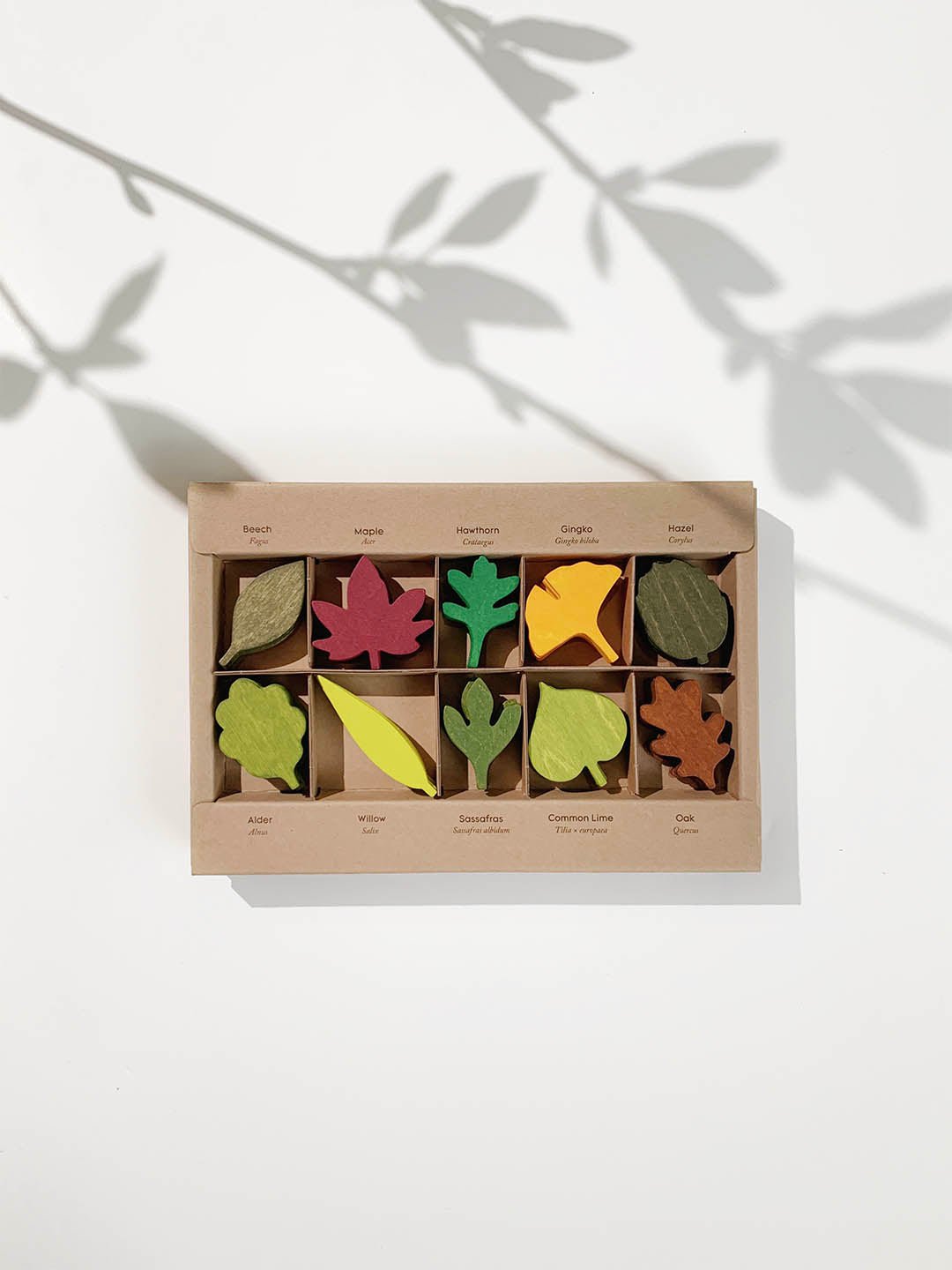 Jeu éducatif de feuilles en bois FSC pour enfant Wild Baby