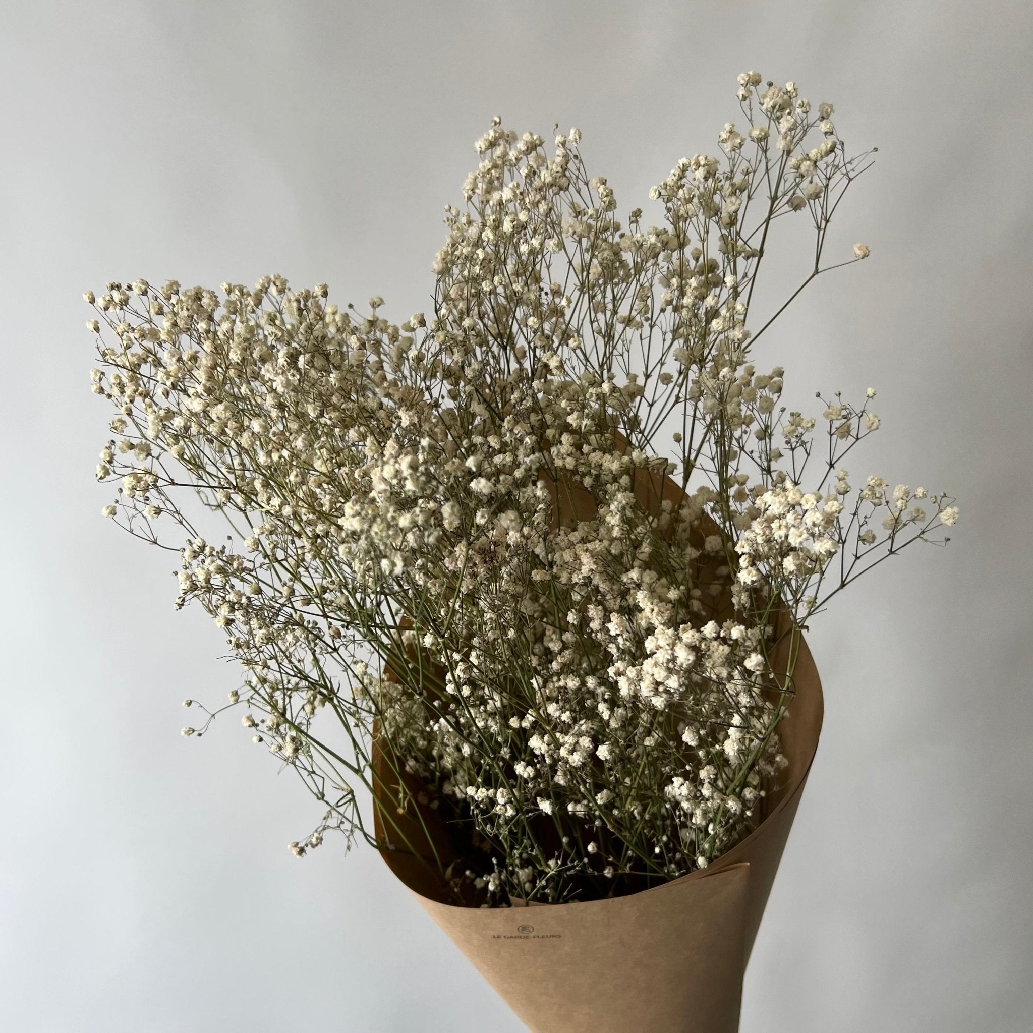 Gypsophile | Fleurs séchées | Le Garde Fleurs - Les Trouvailles de JustineFleurs en vracLe garde - fleurs
