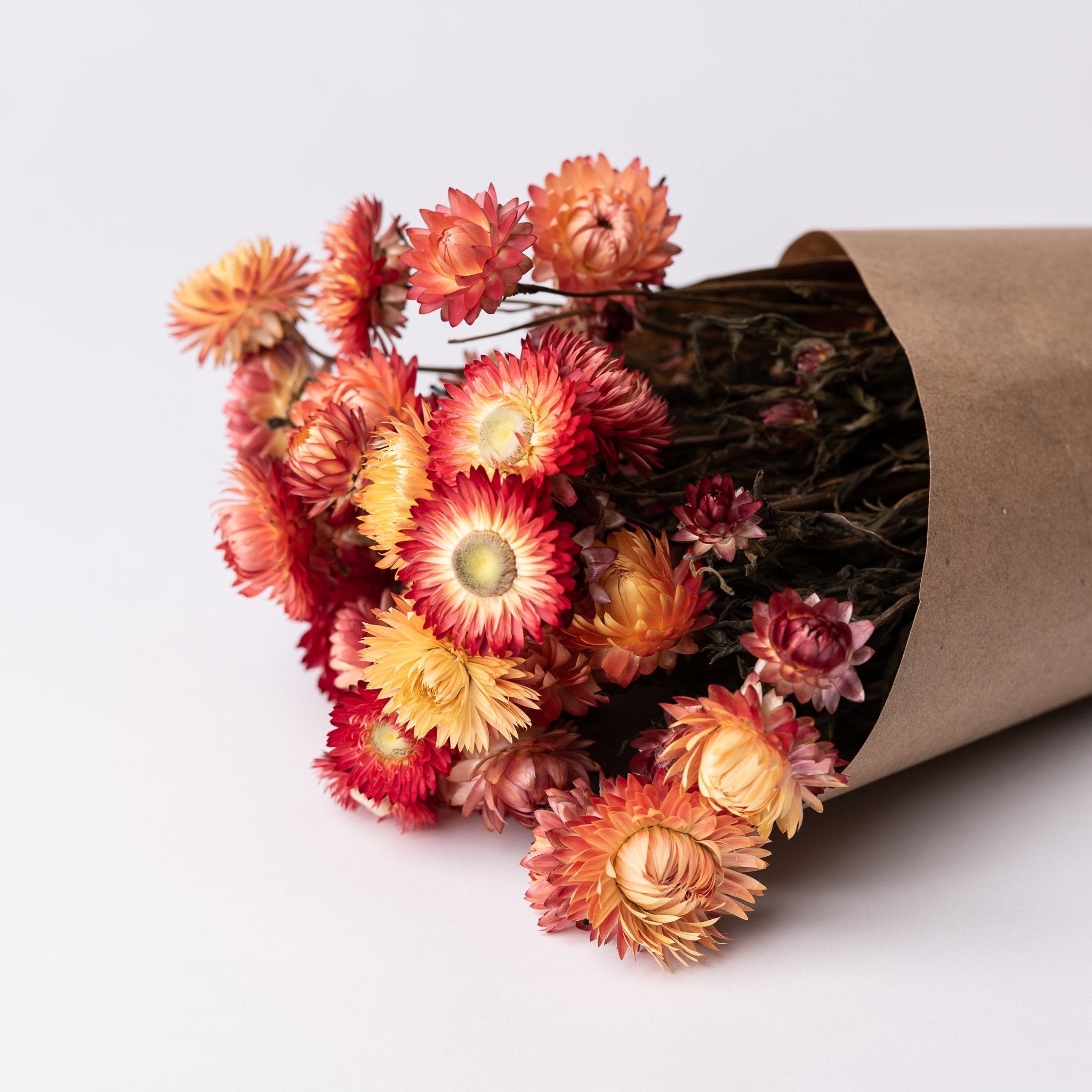 Immortelles saumon | Fleurs séchées | Le Garde Fleurs - Les Trouvailles de JustineFleurs en vracLe garde - fleurs