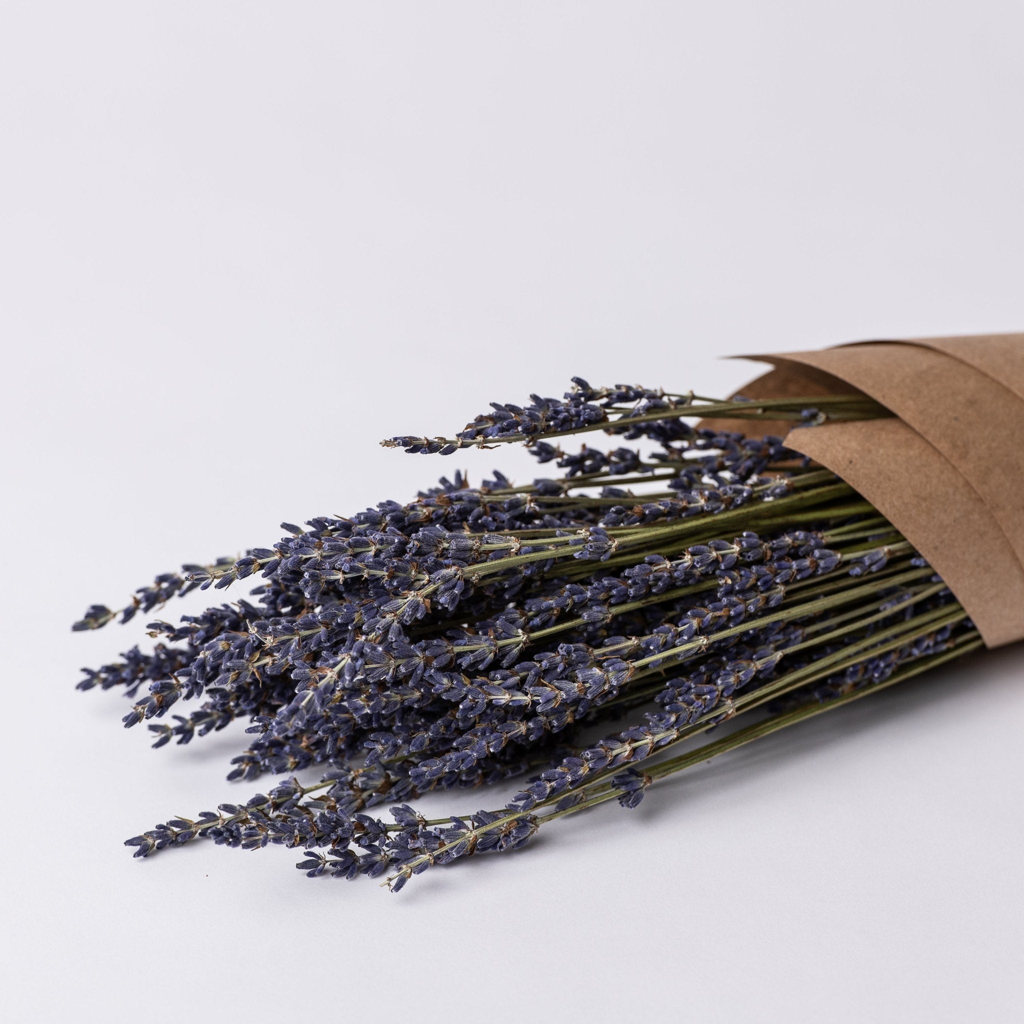 Lavande | Fleurs séchées | Le Garde Fleurs - Les Trouvailles de JustineFleurs en vracLe garde - fleurs50 g