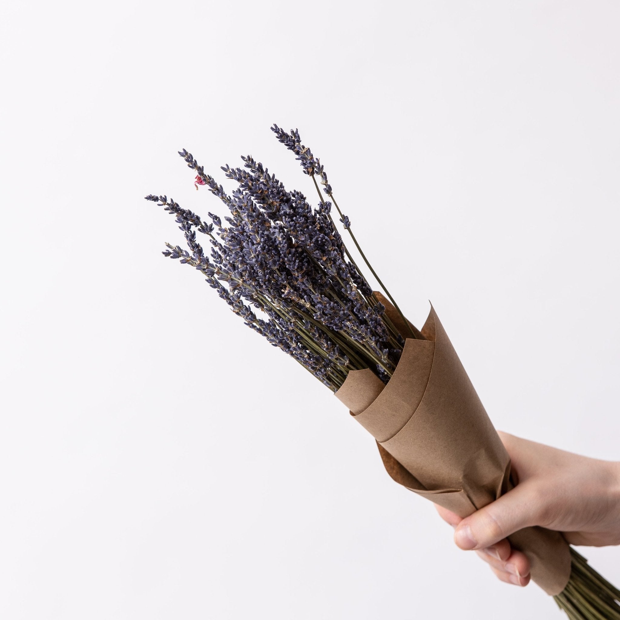 Lavande | Fleurs séchées | Le Garde Fleurs - Les Trouvailles de JustineFleurs en vracLe garde - fleurs50 g