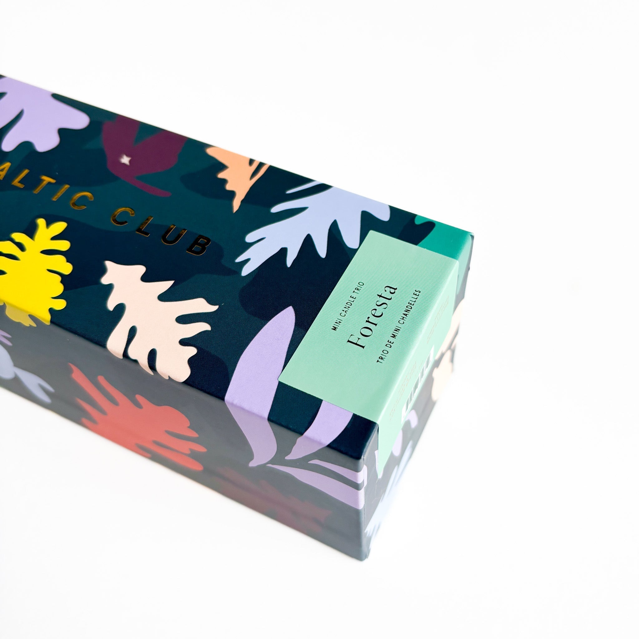 Mini Trio de Bougies Foresta | Coffret Cadeau | Cire de Soja Naturelle