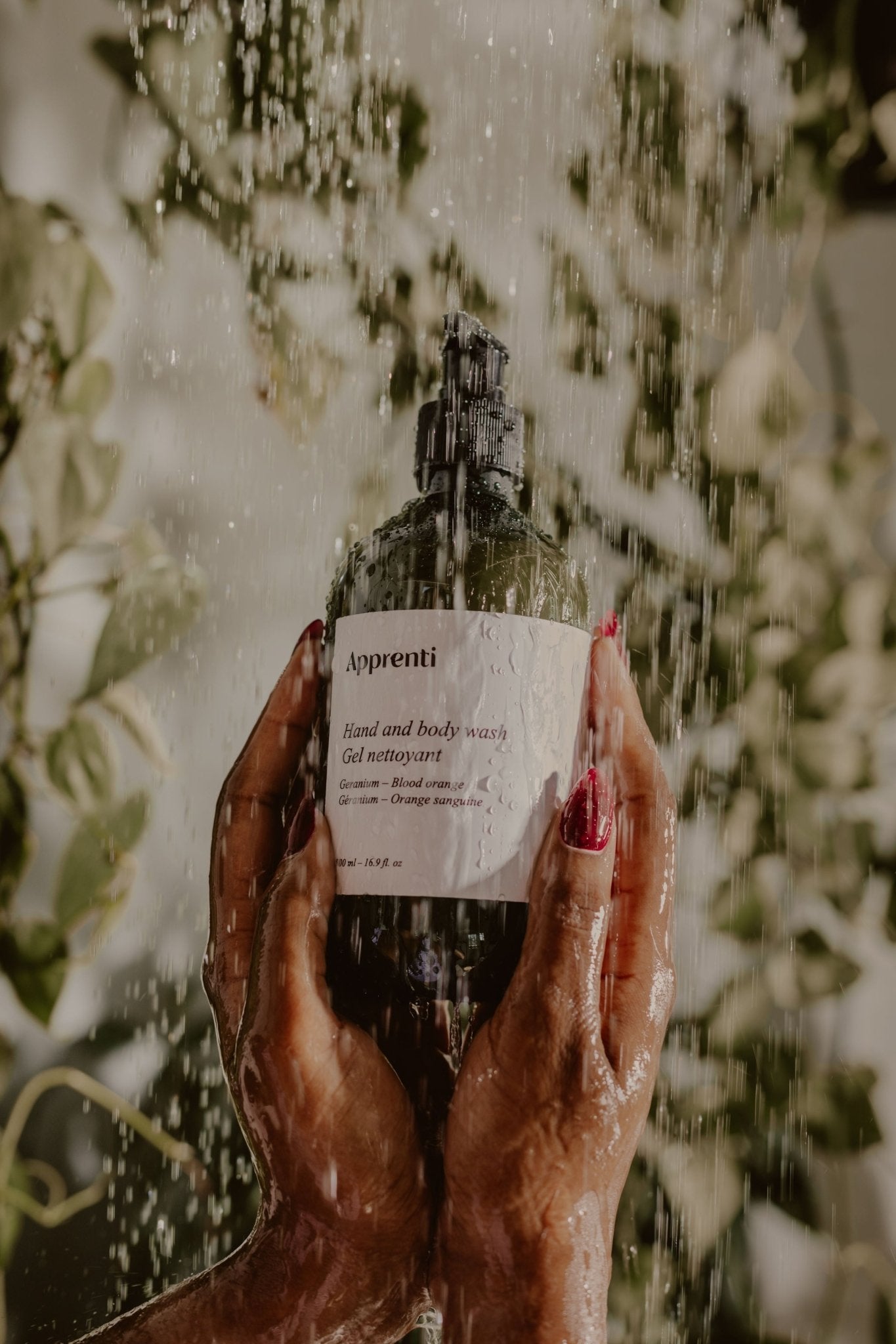 Nettoyant mains et corps Feuille de cèdre & cardamome | Apprenti - Les Trouvailles de JustineBody WashApprenti300 ml