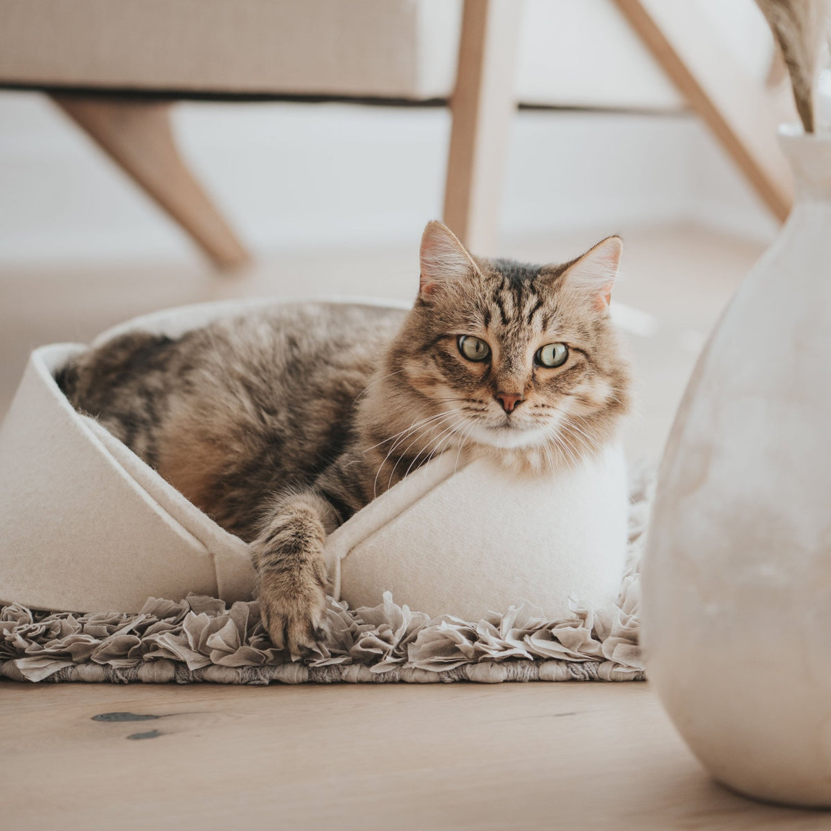 Panier en feutre de laine beige, chat tigré confortablement installé