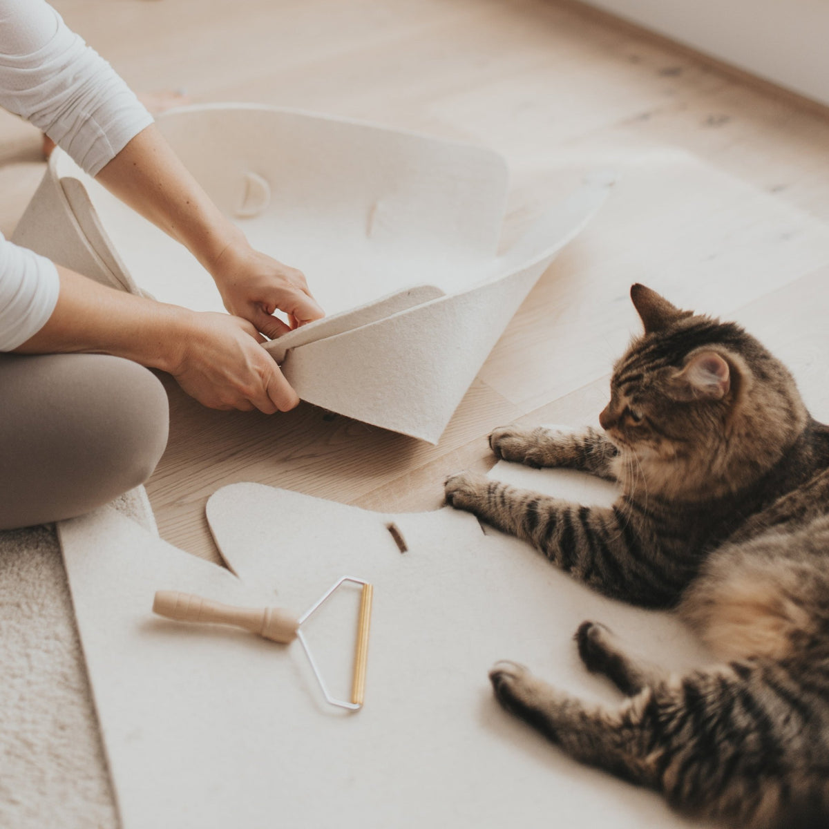 Panier en feutre de laine naturel avec rabat ouvert, rangement pour animaux, chat