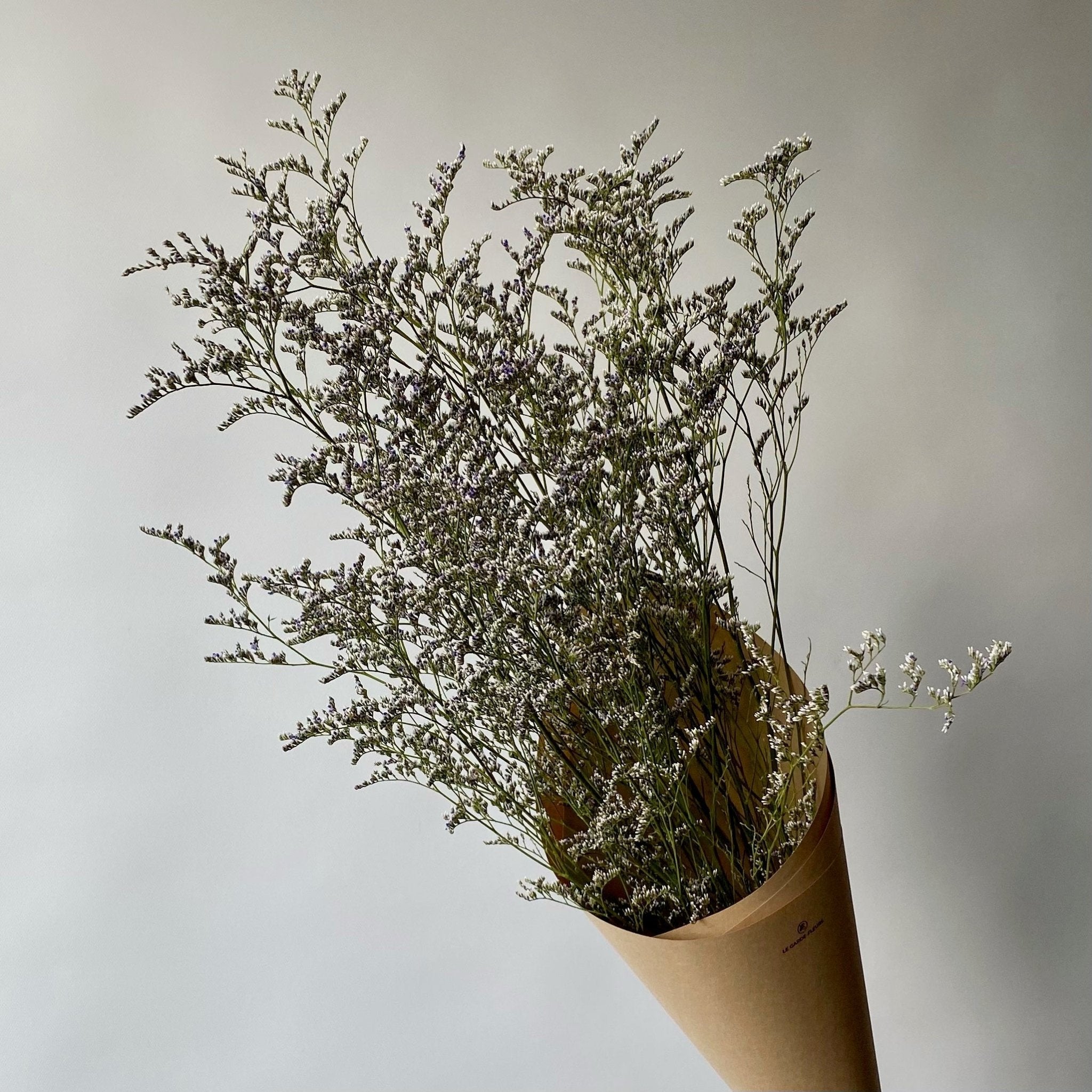 Fleurs séchées - Bouquets naturels décoratifs - Les Trouvailles de Justine