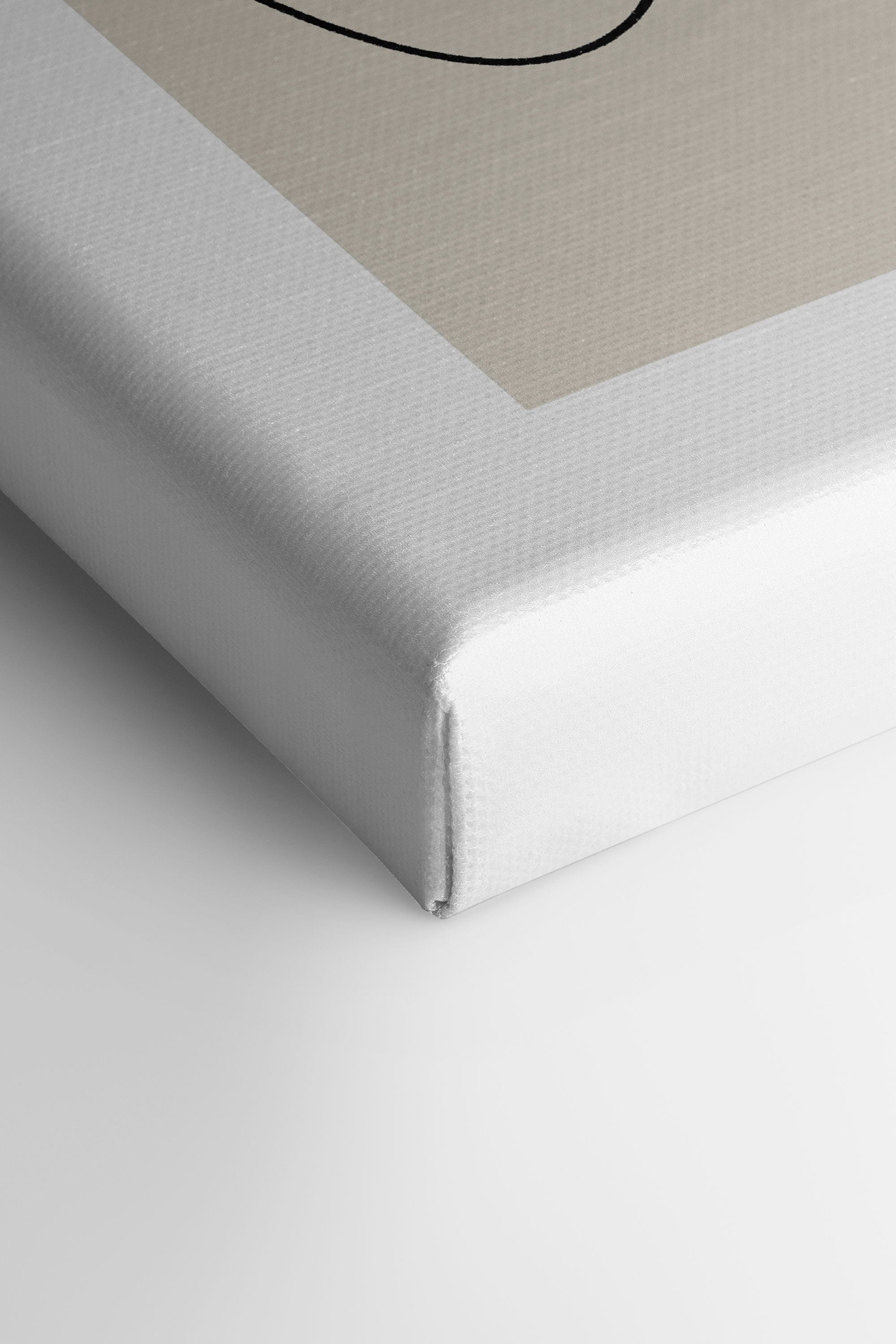 ELEGANT CURVES TRIO (3 Oeuvres sur toile étirée)