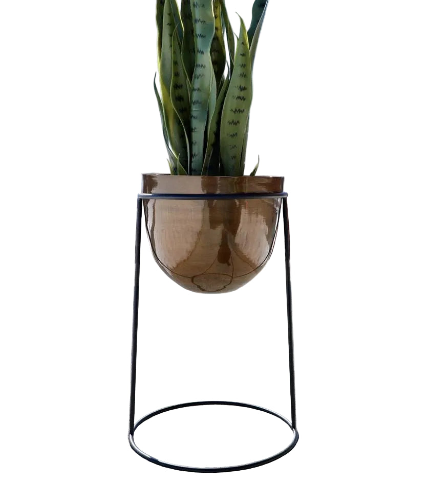 Cache-pot Rosita en laiton sur pied antique avec plante et fond blanc