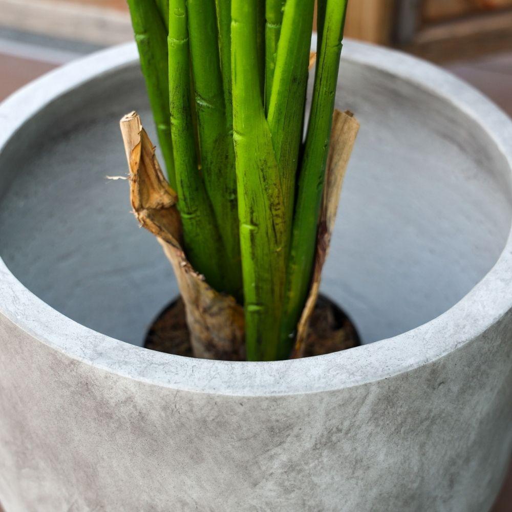 Cache-pot Berto en ciment design moderne avec plante