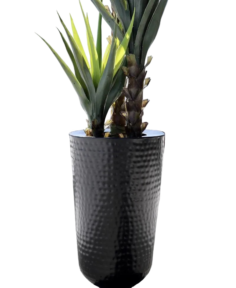 Cache-pot Mesa en laiton noir décoratif fond blanc avec plante