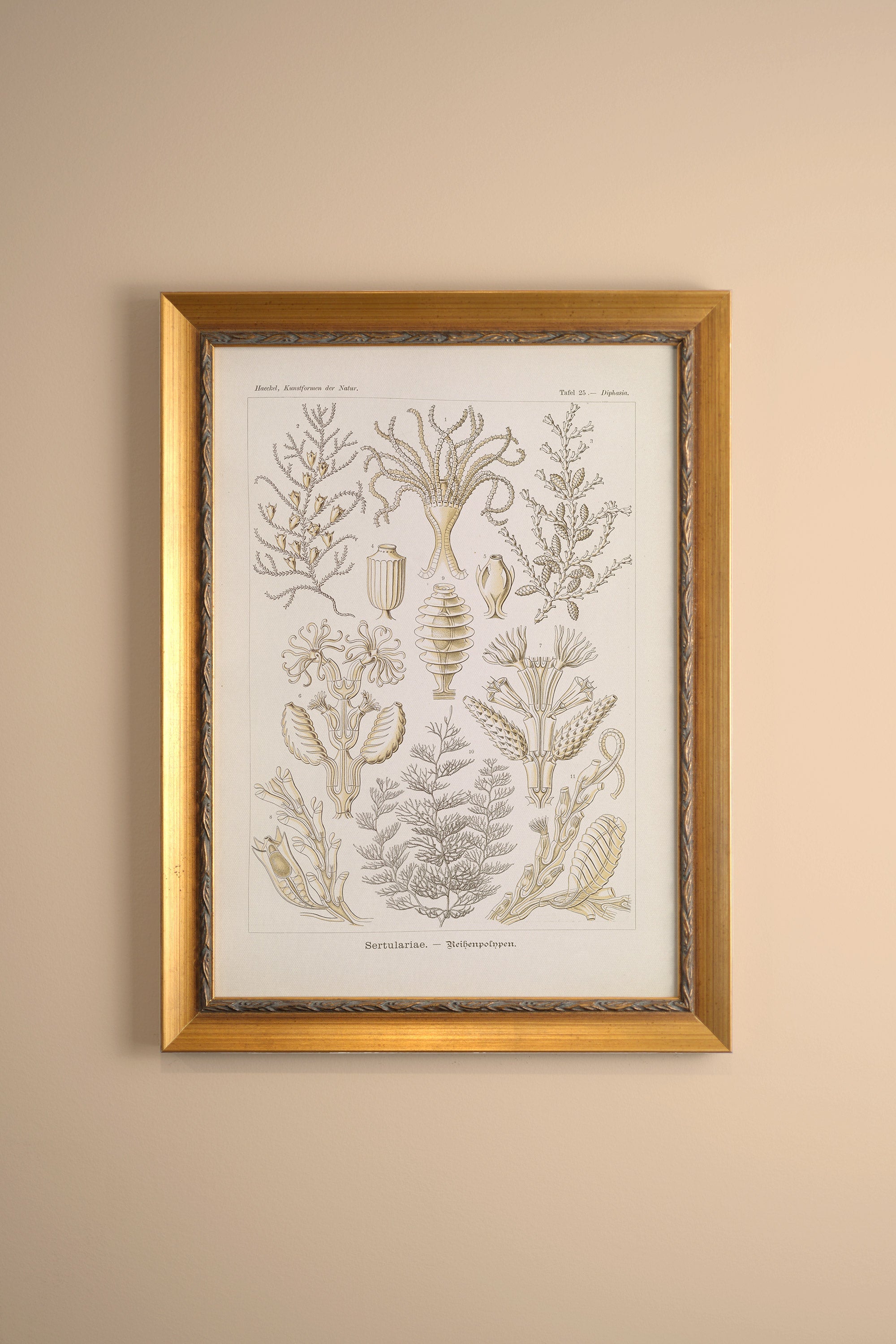 ESSENCE MARINE, CADRE VINTAGE OR