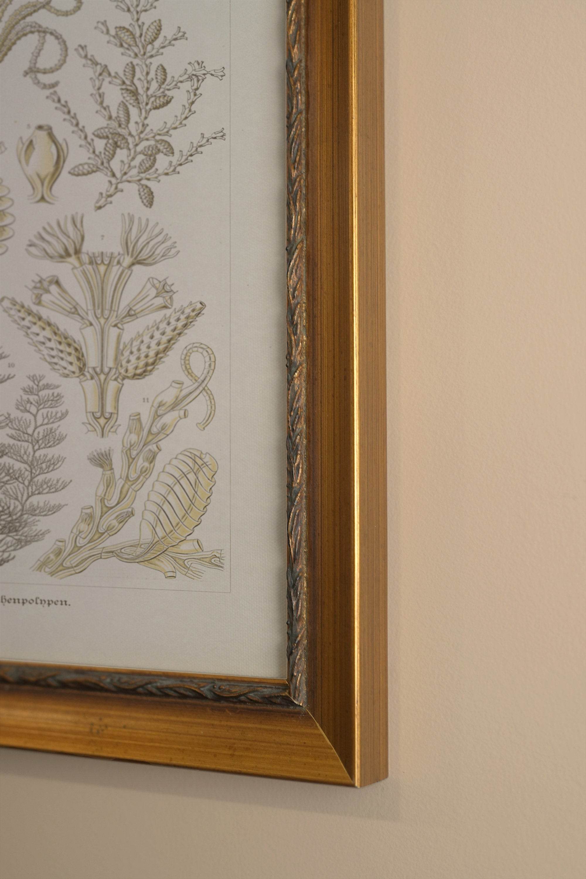 ESSENCE MARINE, CADRE VINTAGE OR