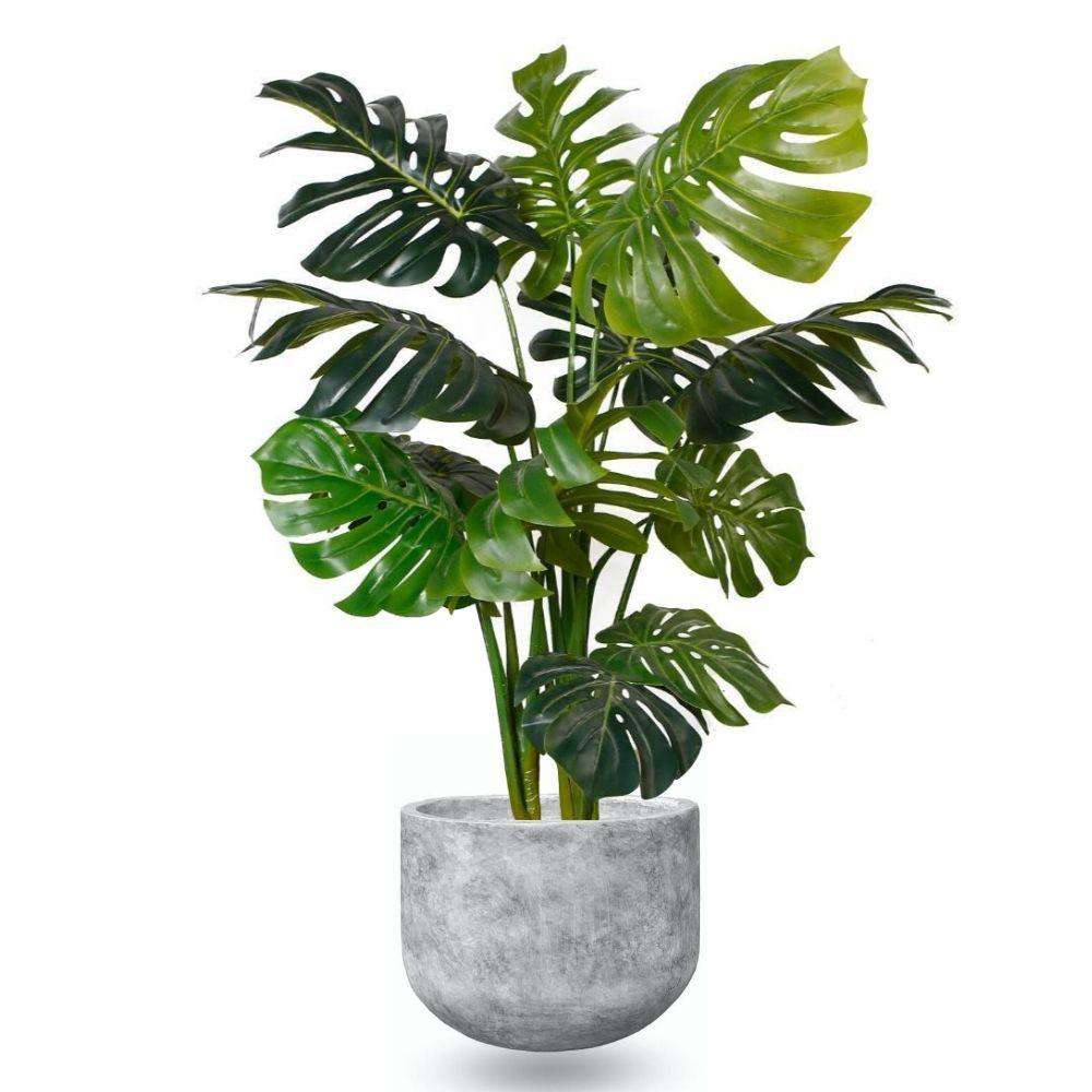 Cache-pot Berto en ciment design moderne avec plante sur fond blanc
