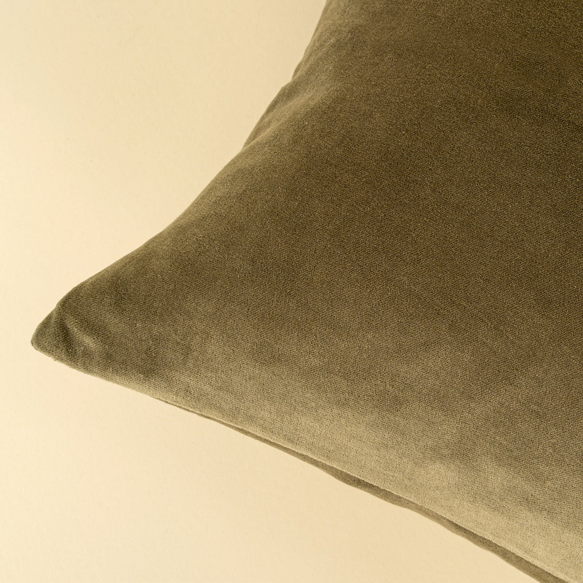 Coussin décoratif Vera Luxe | Velours de coton | Olive | 16 × 24 po