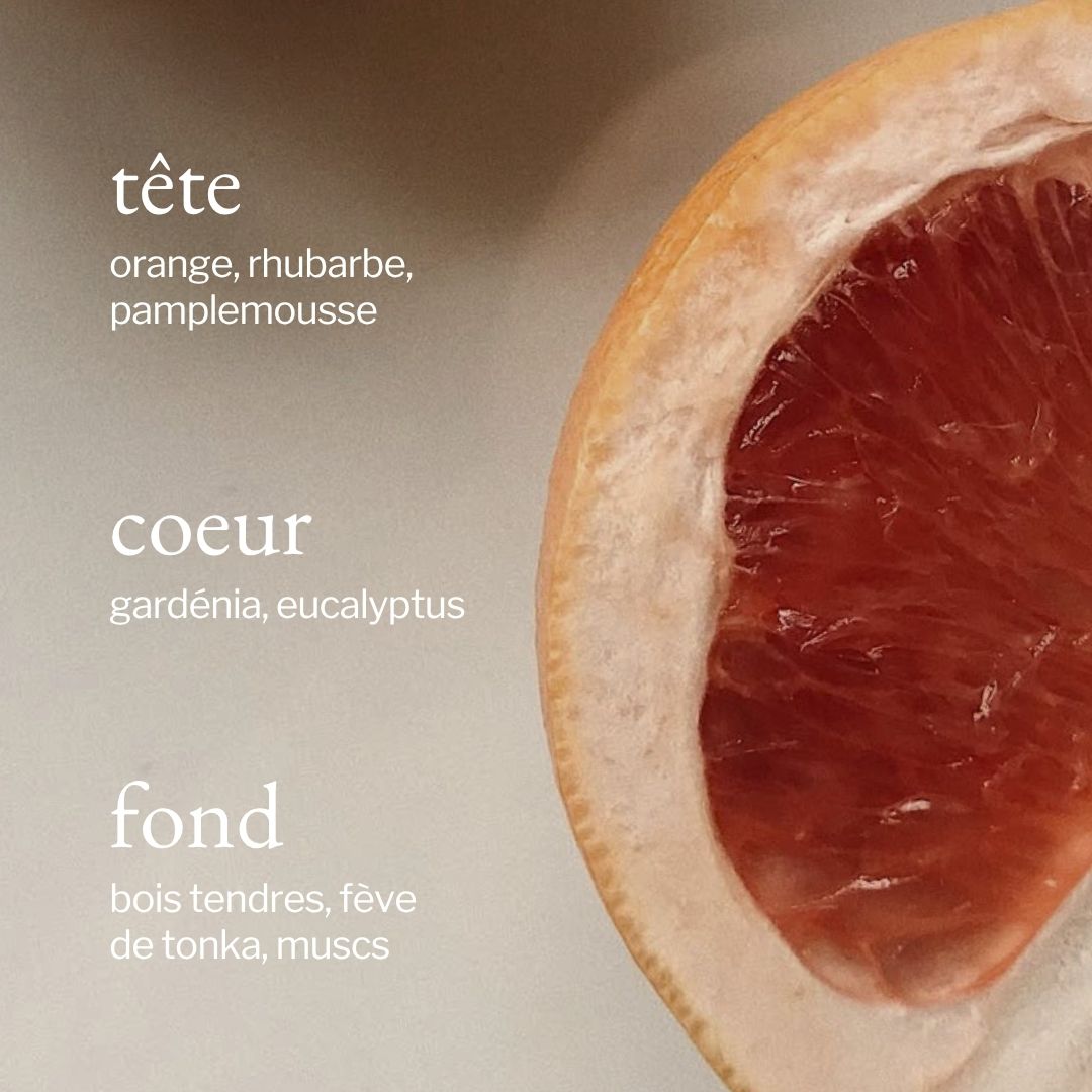 Bougie Eucalyptus & pamplemousse | Fragrance énergisante et revitalisante