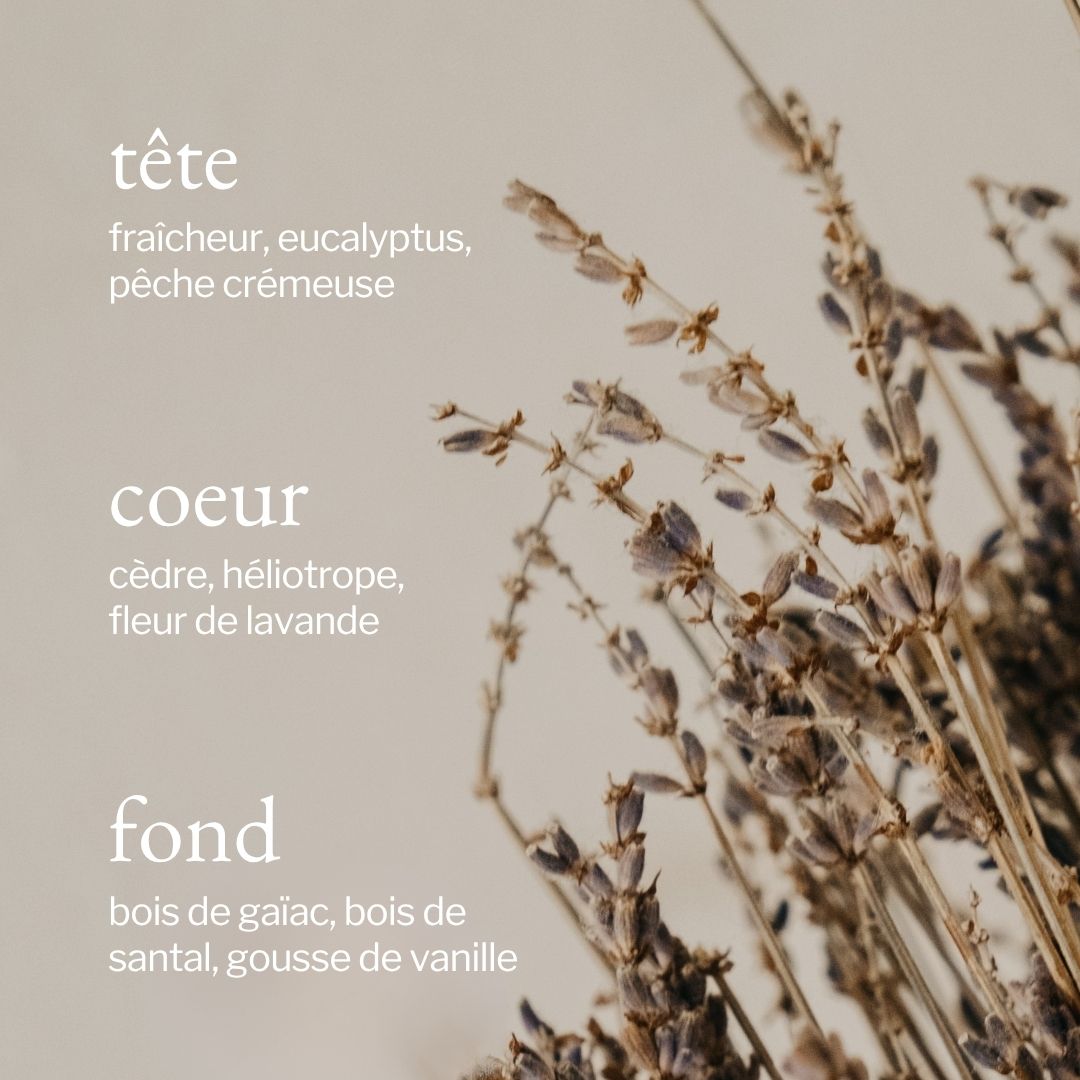 Bougie Lavande, bois de santal & vanille | Parfum floral et boisé | SOJA&CO