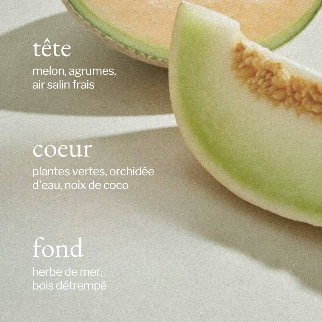 Savon à mains liquide 500 ml | Melon & air salin | SOJA&CO