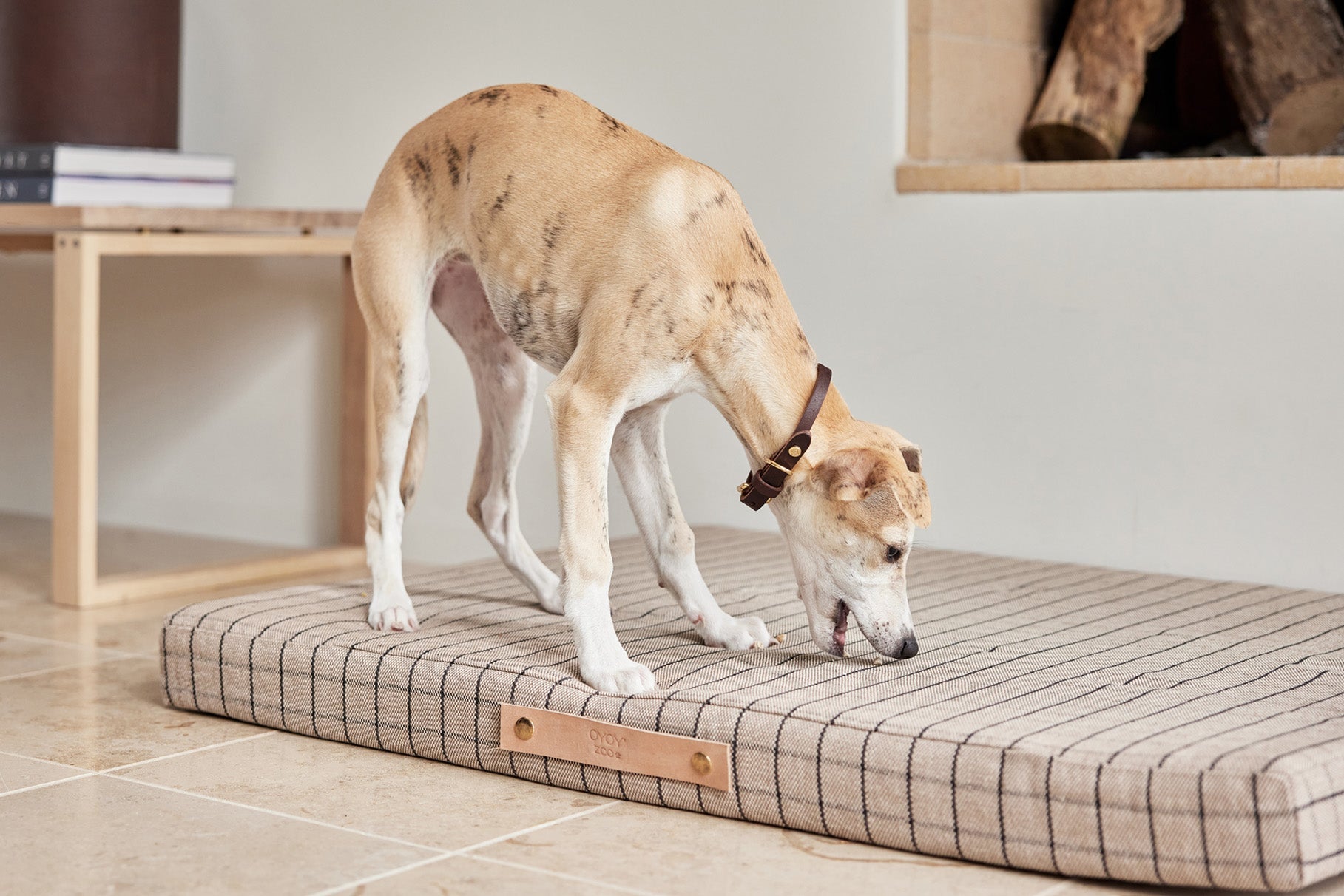 Coussin pour chien Milo Grid | Grand format | Coton biologique
