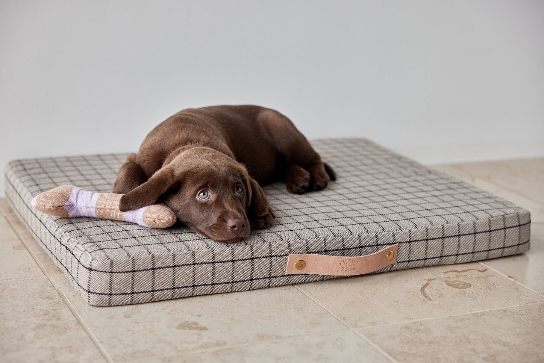 Coussin pour chien Milo Grid | Format moyen | Coton biologique